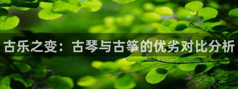 凯发网址登录：古乐之变：古琴与古筝的优劣对比分析