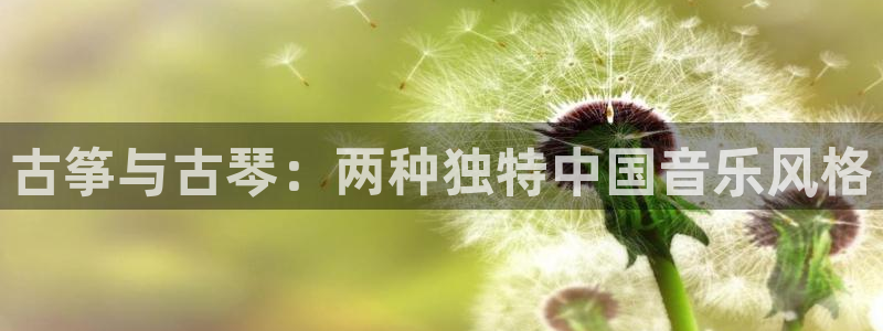 凯发网娱乐官网国际