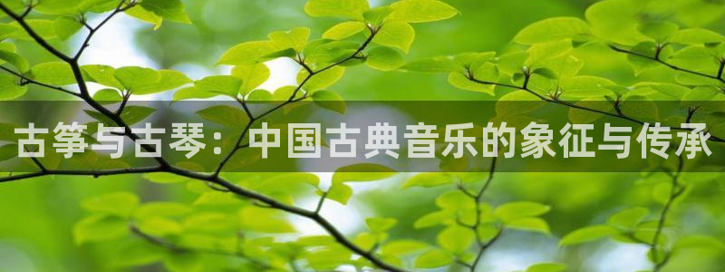 凯发国际平台官网