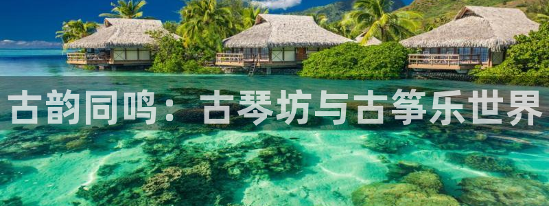 凯发k8旗舰店：古韵同鸣：古琴坊与古筝乐世界