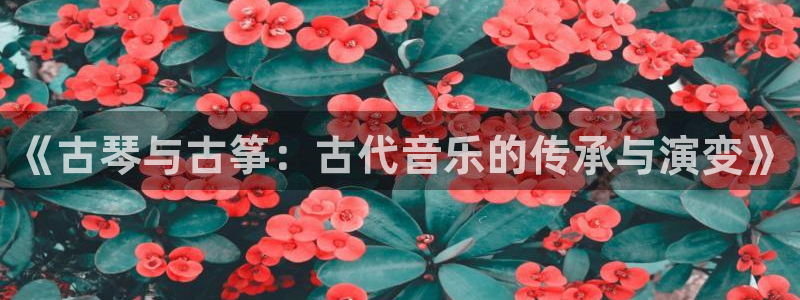 凯发官网网址多少：《古琴与古筝：古代音乐的传承与演变》