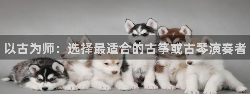 凯发手机官网：以古为师：选择最适合的古筝或古琴演奏者