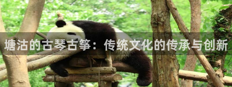 凯发k873：塘沽的古琴古筝：传统文化的传承与创新