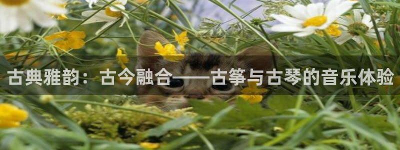 凯发k8国际 不能提款了：古典雅韵：古今融合——古筝与古琴的