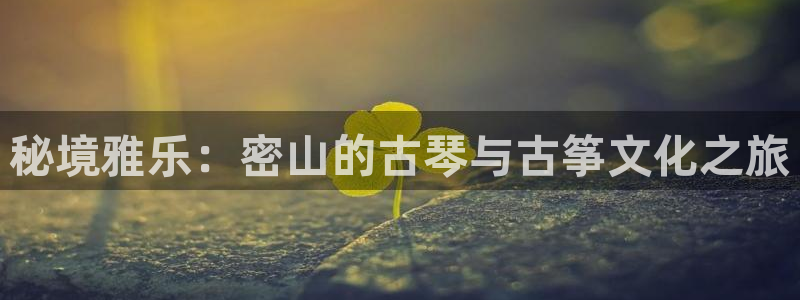 凯发官网手机app