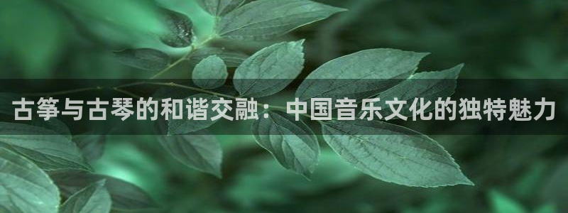 凯发k8娱乐|k808.vip