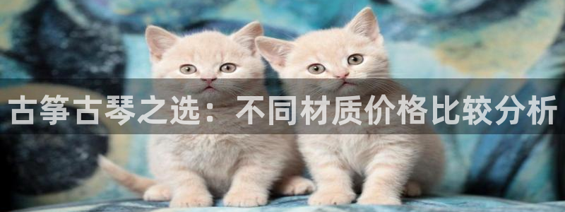 凯发k8旗舰店