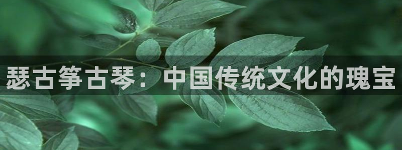 凯发国际是什么投资平台：瑟古筝古琴：中国传统文化的瑰宝