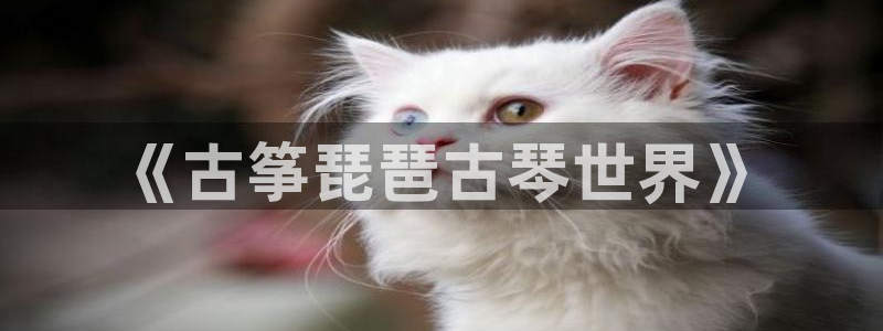 k8凯发是做什么的