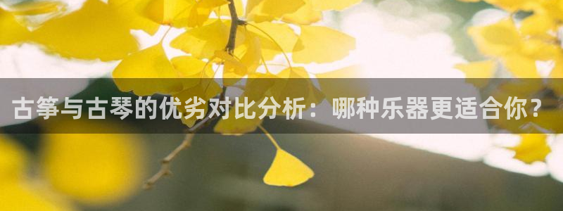 凯发app是干嘛的