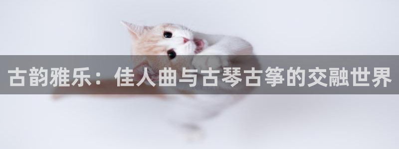 凯发国际网址官网首页