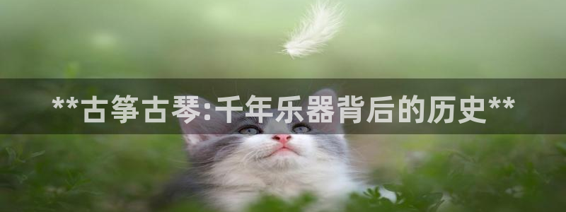 凯发k8娱乐要访问kf6819