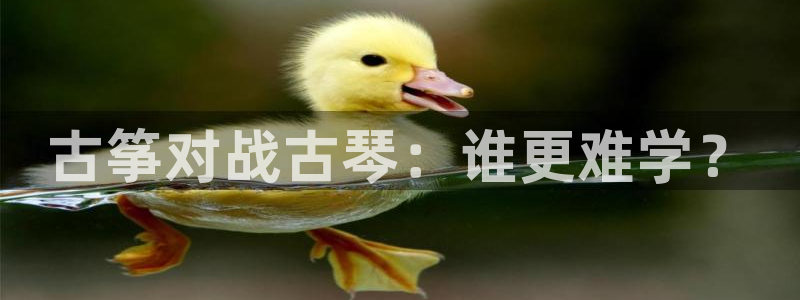 凯发k8手机网页