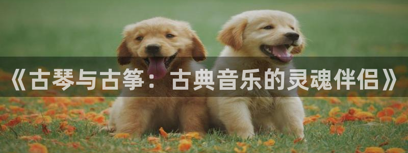 国际凯发k8真人版旗舰厅