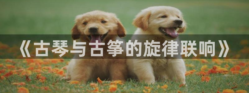 凯发娱乐官网登录:《古琴与古筝的旋律联响》