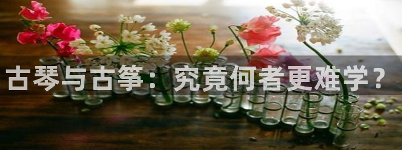 凯发平台k8：古琴与古筝：究竟何者更难学？
