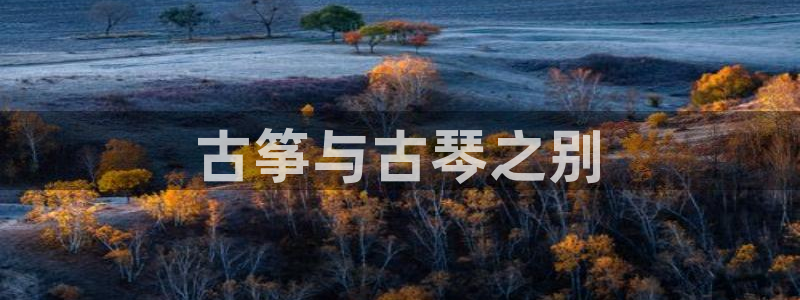 凯发k8登录首页：古筝与古琴之别