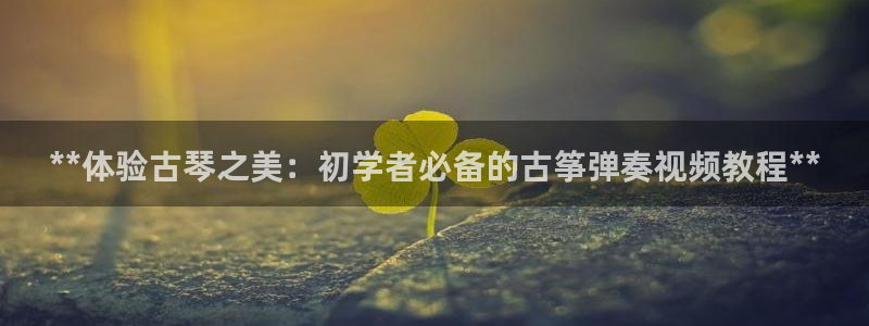 凯发国际网站官网