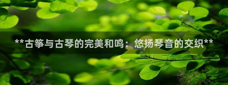 凯发手机官网