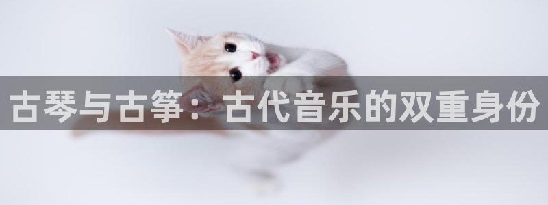 凯发app平台