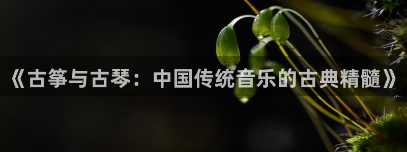 凯发官方首页