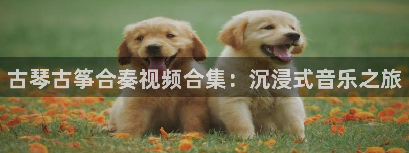 凯发k8娱乐官方下载