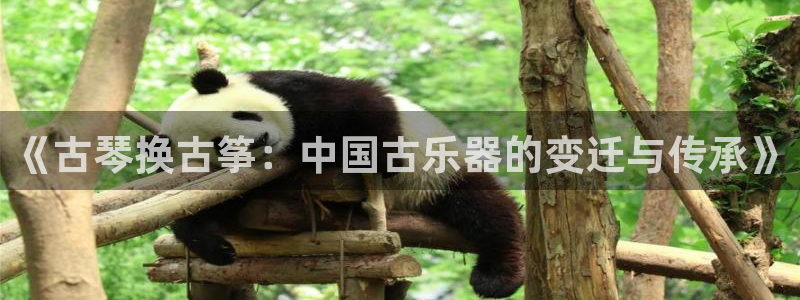 k8凯发官方找就送38：《古琴换古筝：中国古乐器的变迁与传承